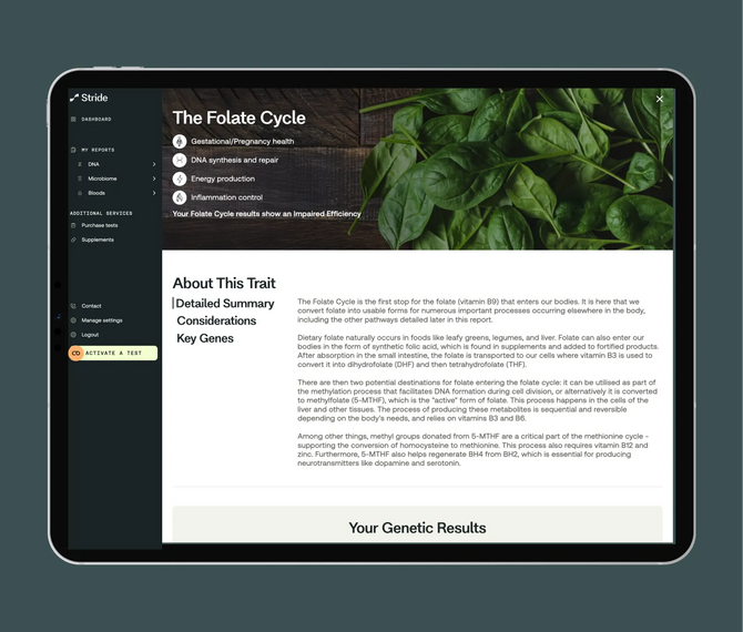 Optimal DNA & Methylation Testing